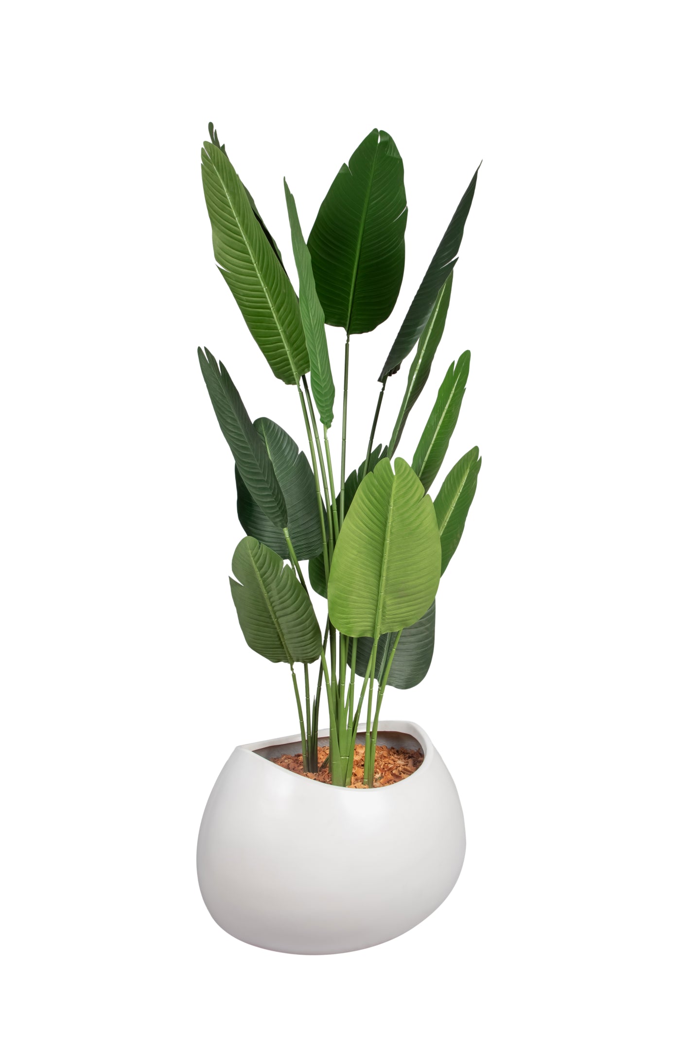 Livi designer FRP planter