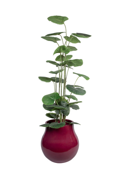 Astrid designer FRP planter