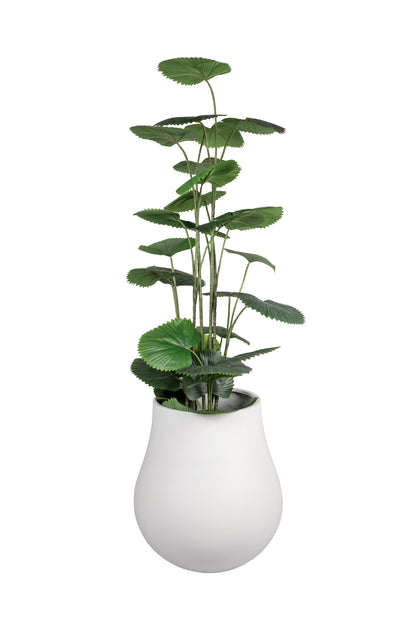 Astrid designer FRP planter