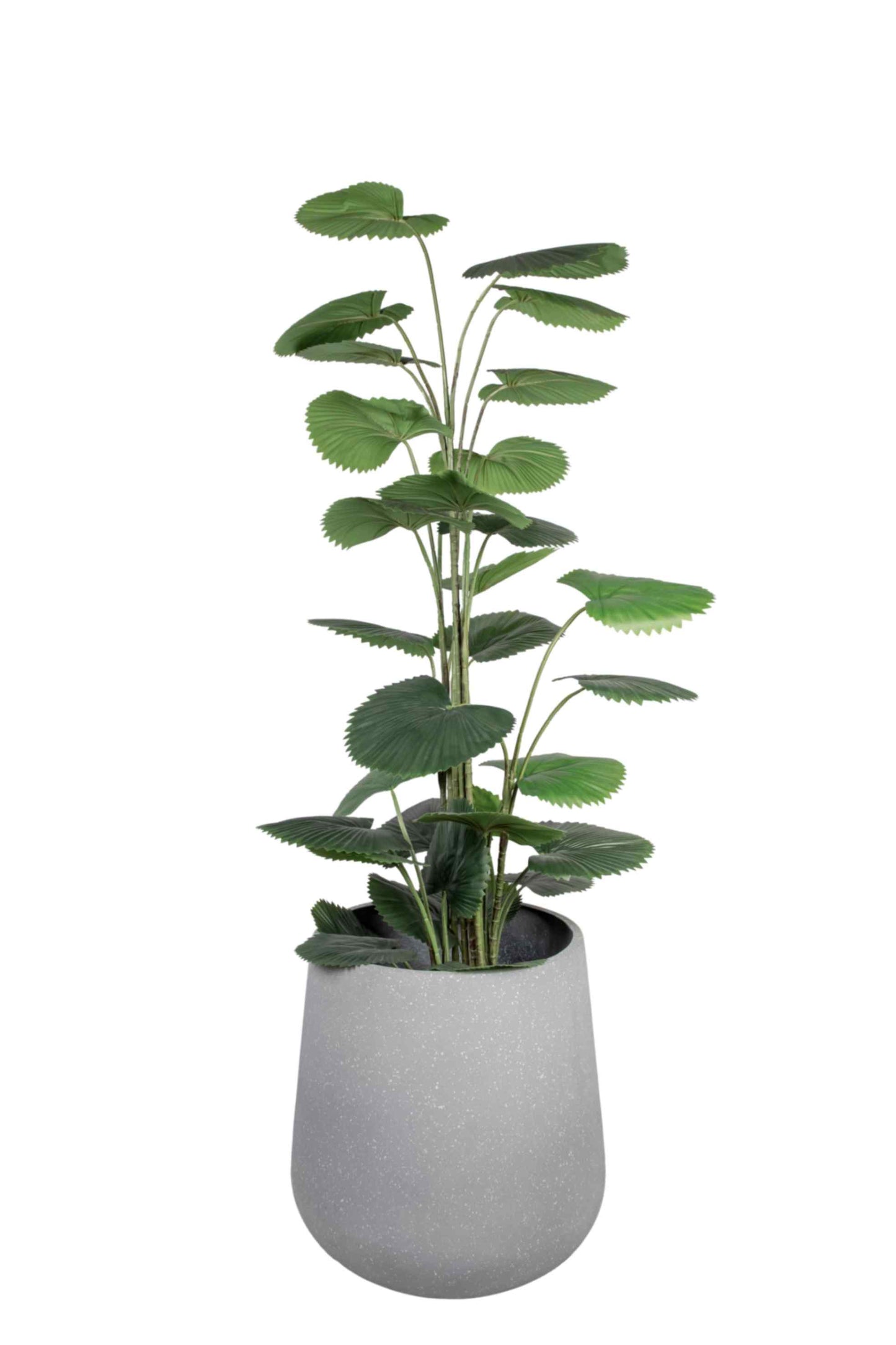 Jade FRP Planter